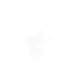 Shady Lady